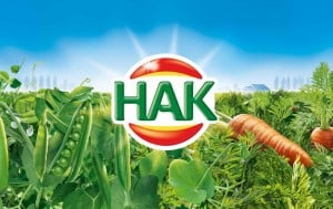 HAK: proaktive Strategie